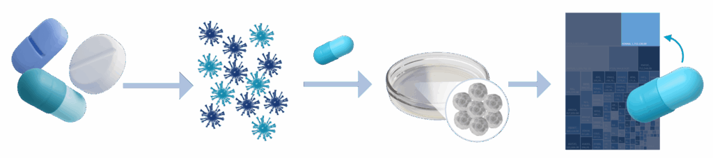leapfrog-platform_simplified